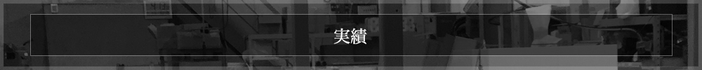 実績